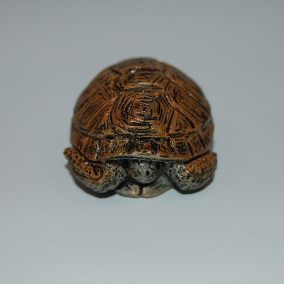Small Tortoise AAA Rubber Baby Turtle Tortise Realistic  In Shell 1.5 Inch - Picture 1 of 6